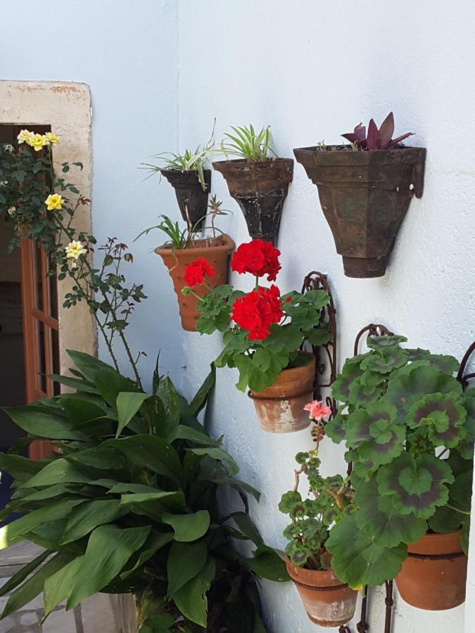 Rua Das Rosas 22/B&B Figueira da Foz Εξωτερικό φωτογραφία